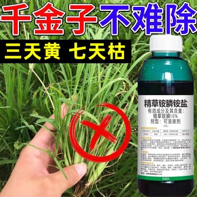 精草铵膦铵盐除草剂荒地牛筋草恶性杂草烂根剂精草铵磷正品农药图2