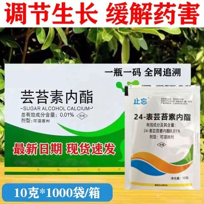 整箱芸苔素内酯农用植物生长调节剂调节生长农药调节剂正品图4