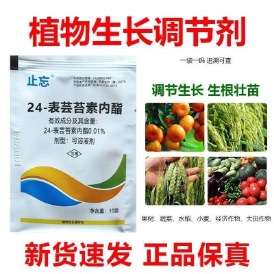 整箱芸苔素内酯农用植物生长调节剂调节生长农药调节剂正品图3