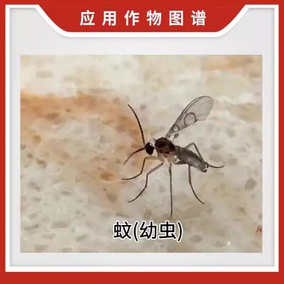 曹达乐透10%吡丙醚 室外孳生地杀蚊子幼虫蚜虫杀卵农药杀虫剂批发图4