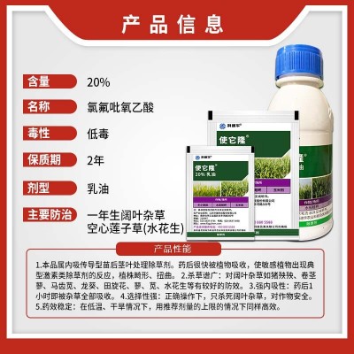 科迪华陶氏益农 使它隆氯氟吡氧乙酸玉米田杂草史它隆史太隆除草图2