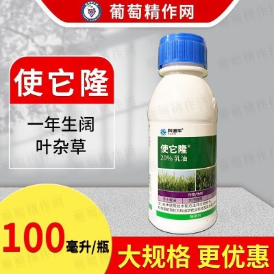 科迪华陶氏益农 使它隆氯氟吡氧乙酸玉米田杂草史它隆史太隆除草图1