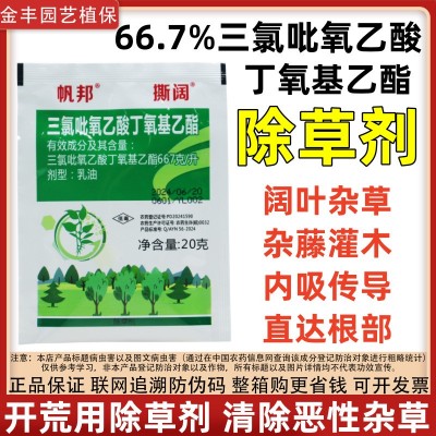 66.7%三氯吡氧乙酸丁氧基乙酯除阔叶杂草灌木藤蔓内吸烂根除草剂图2