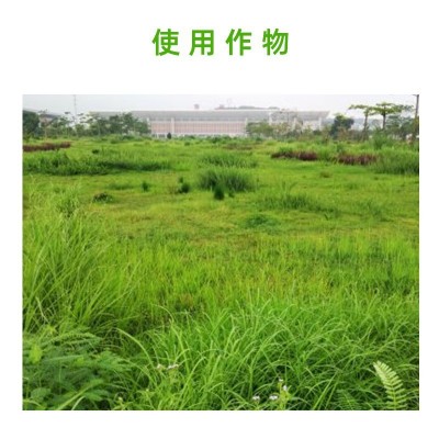 火四方75%环嗪酮哃环秦酮铁路荒地防火道机场杂竹农药除草剂图4