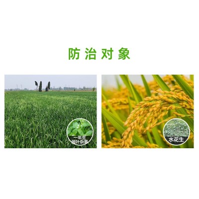 利尔藤净2甲4氯氟吡草坪除草剂阔叶杂草水花生农药除草剂图4