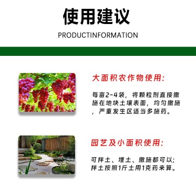 【整件批发】1%联苯噻虫胺撒施型防虫颗粒剂蔬菜地上地下害虫杀虫图4