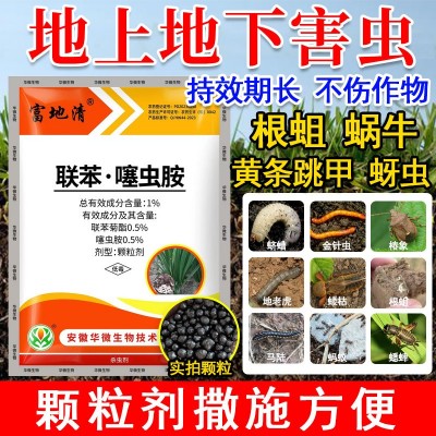 【整件批发】1%联苯噻虫胺撒施型防虫颗粒剂蔬菜地上地下害虫杀虫图2
