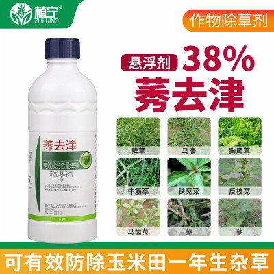 侨昌38%莠去津 悬浮剂 除草剂玉米苗前苗后除草剂封闭封地除草剂图2