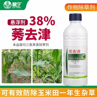 侨昌38%莠去津 悬浮剂 除草剂玉米苗前苗后除草剂封闭封地除草剂图5